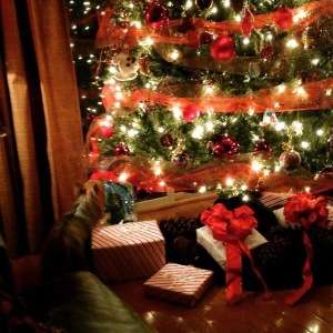 Adam Stanley technology leader - images and inspiration - technology. leadership. food. life. Holiday in log cabin