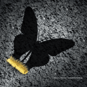 Photo of transformation to a butterfly